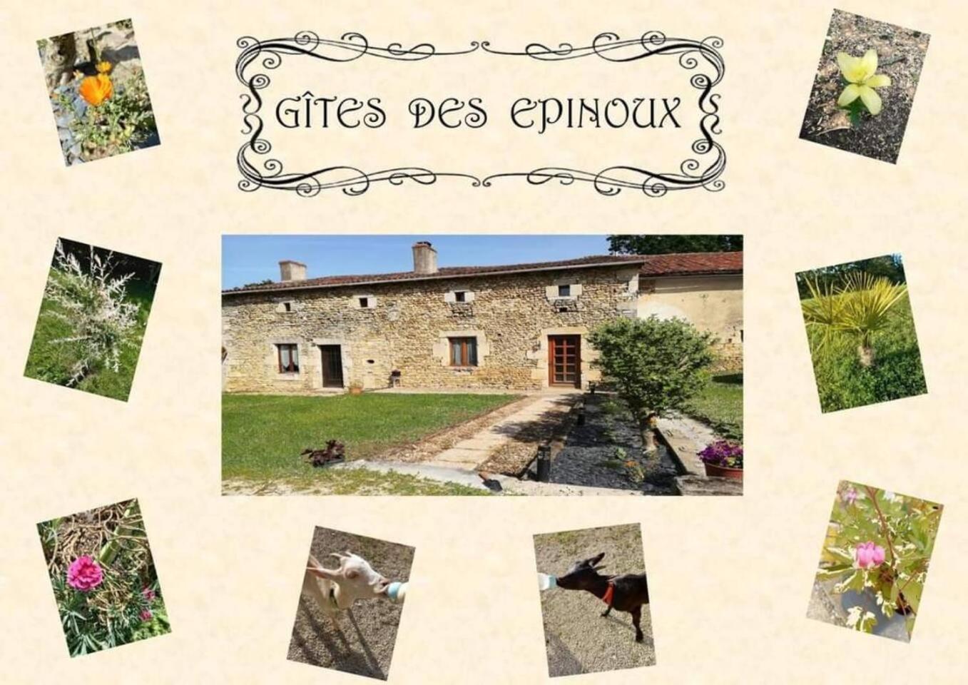 Ferienhaus Le Papillon